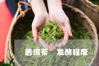 普洱茶 发酵程度/2023031625169